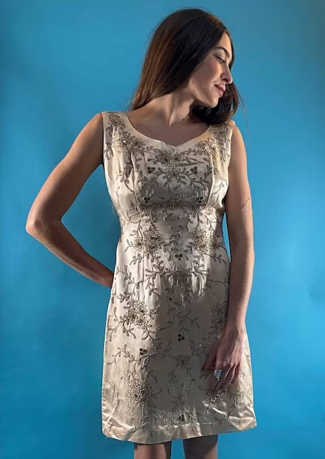 Vintage Revival Embroidered Ivory Dress.