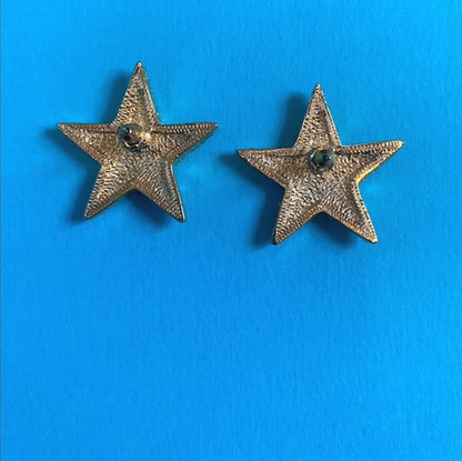 Vintage Gold Plated Starfish Earrings